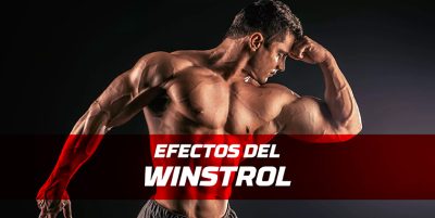 BLOG-WINSTROL