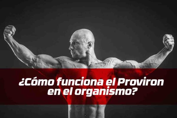 Proviron