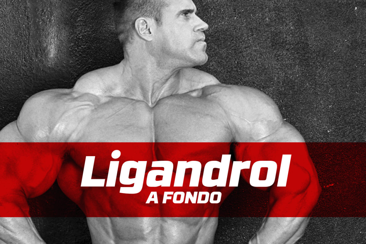 Ligandrol a fondo