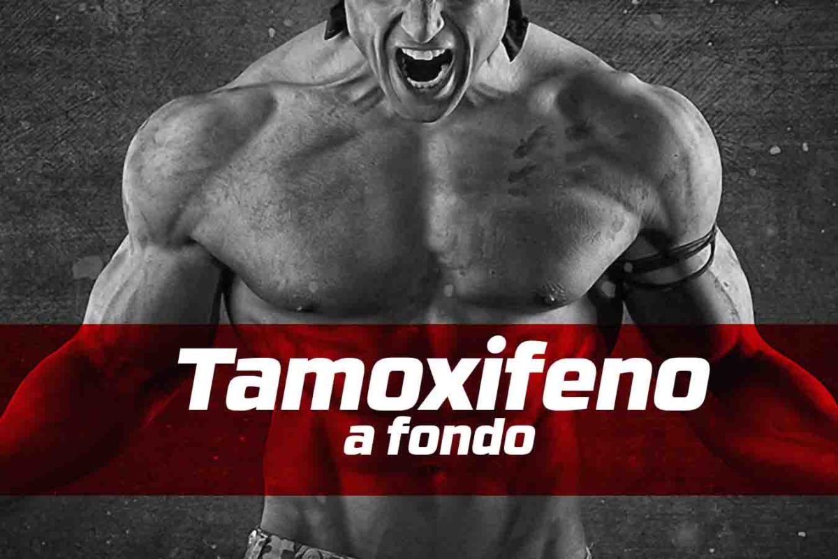 Blog tamoxifeno a fondo