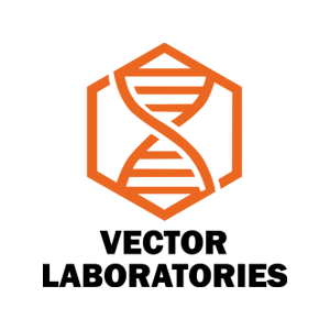 Logo de Marca Vector Laboratorios