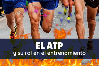 BLOG_ATP_PORTADA_