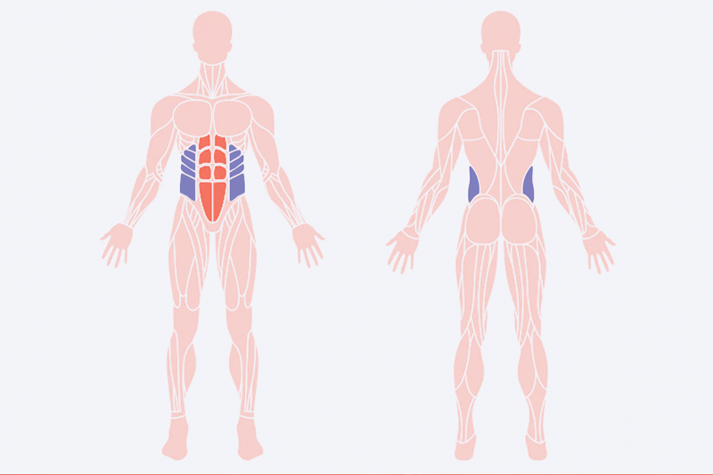 Asesora deportiva  OBJETIVO: HACER ABDOMINALES BIEN