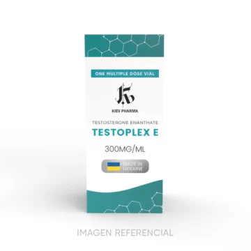 1.TESTOPLEX E-caja_KIEV